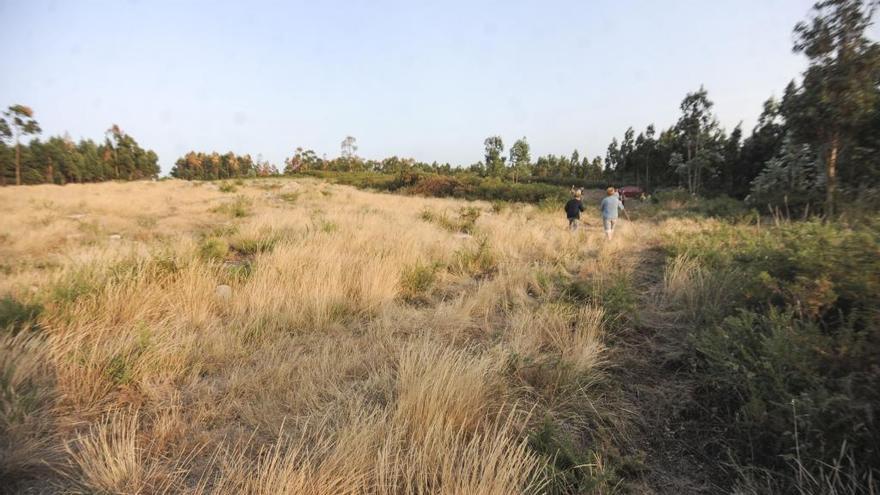 Lugar donde se proyectaba la planta de residuos industriales en Santa Icía.