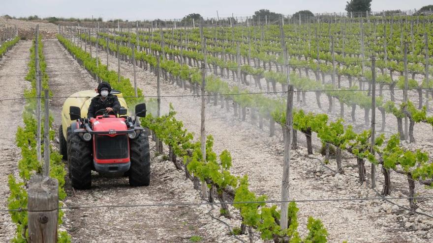 Jóvenes Agricultores amenaza con protestas en la calle, pese al covid, si no se para el recorte del Tajo-Segura