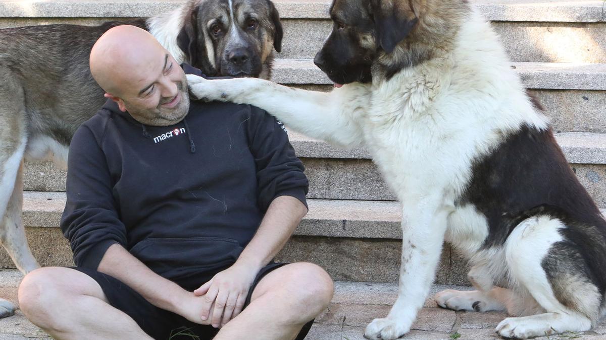 Alberto Mariano junto a sus mastines en Cacheiras