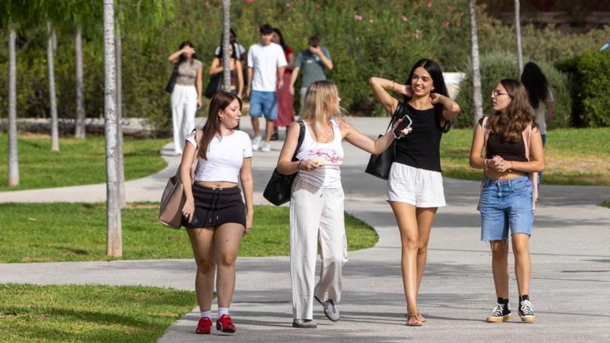 Estudiantes del campus de la Universidad Miguel Hernández, de Elx
