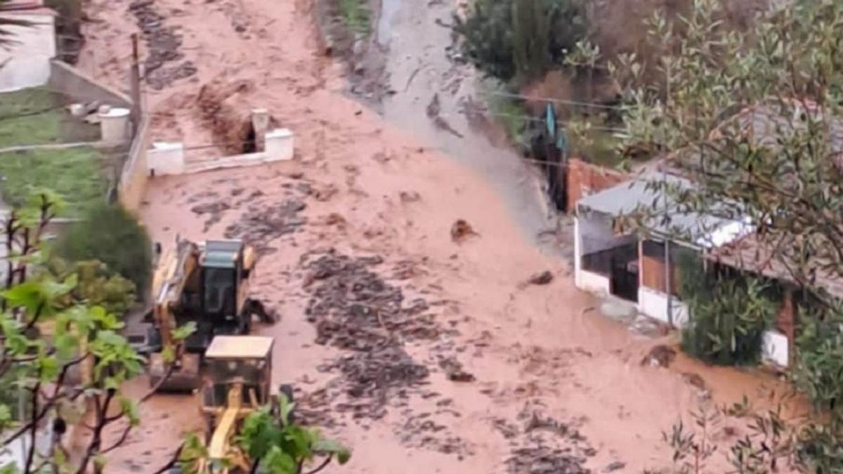 Dana ha sido una de las palabras de 2024