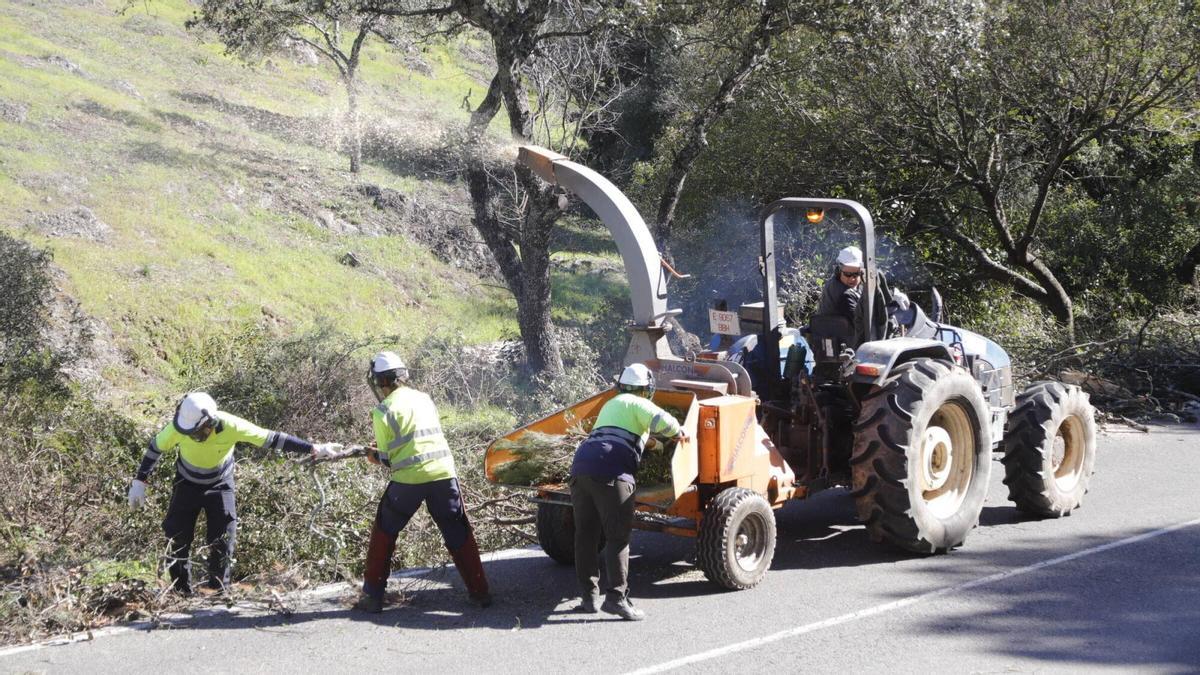 La Diputación desbroza los márgenes de las carreteras