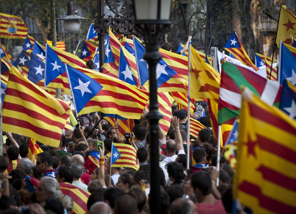 Estelades a la manifestació independentista de la Diada.