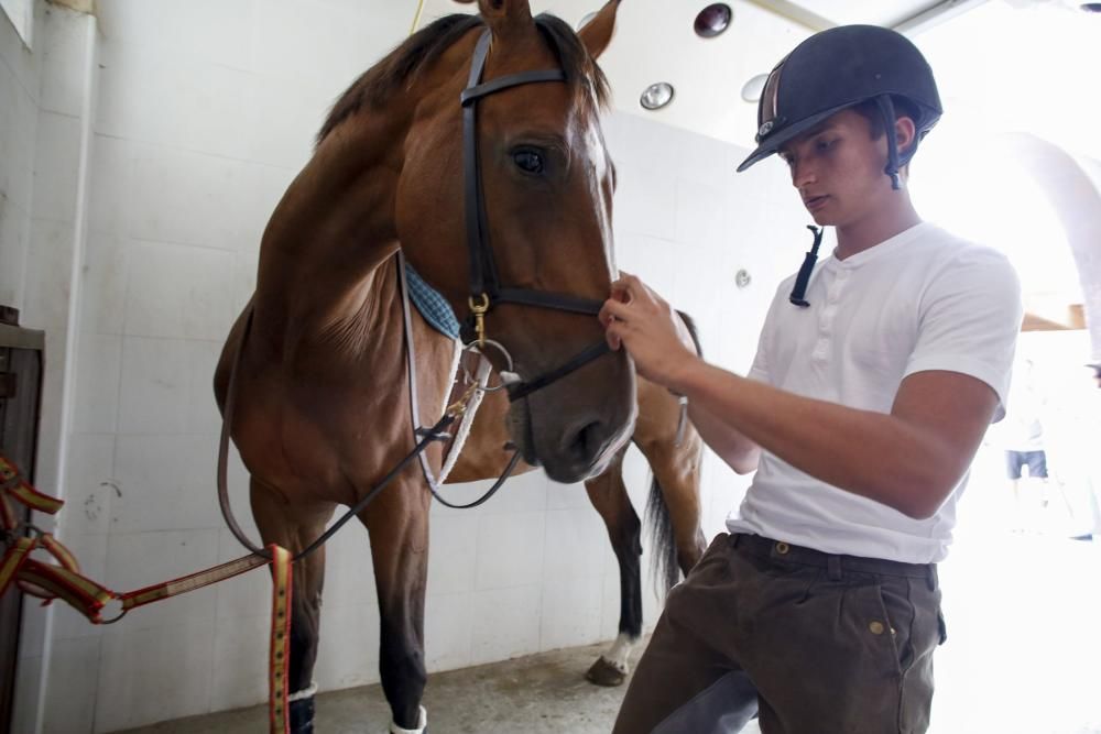 Cuadra equina Busto (Gozón)