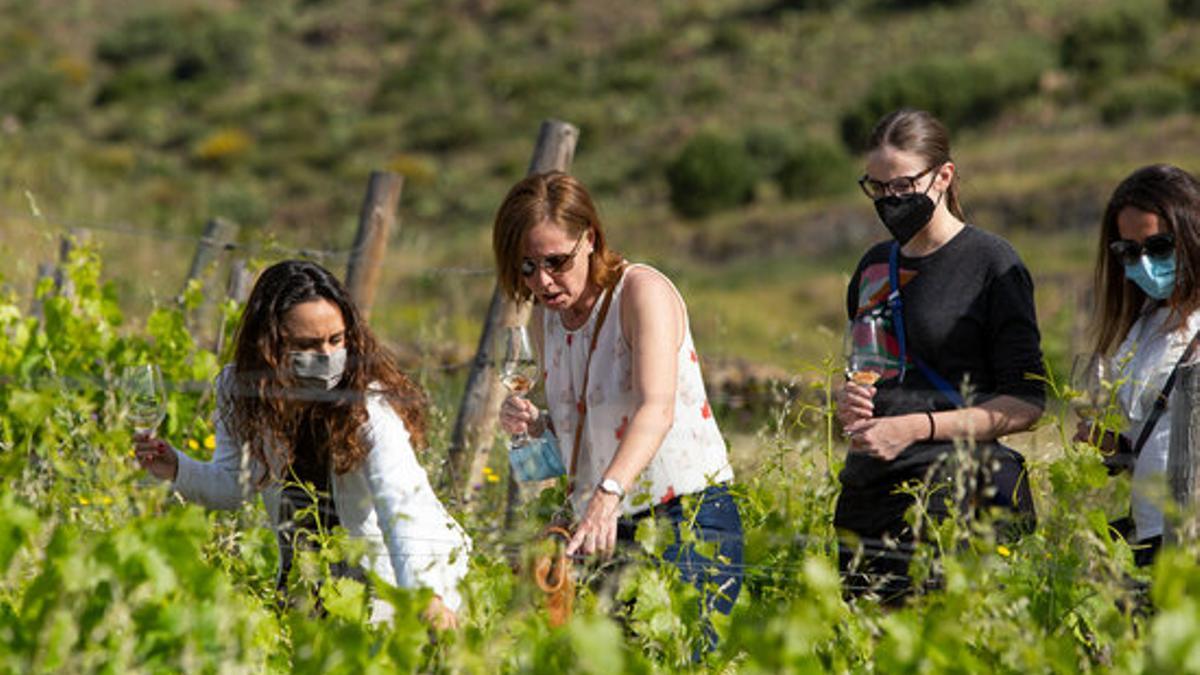 Esmorzars gastronòmics entre Vinyes amb Cuina de l'Empodanet a HdB Colera