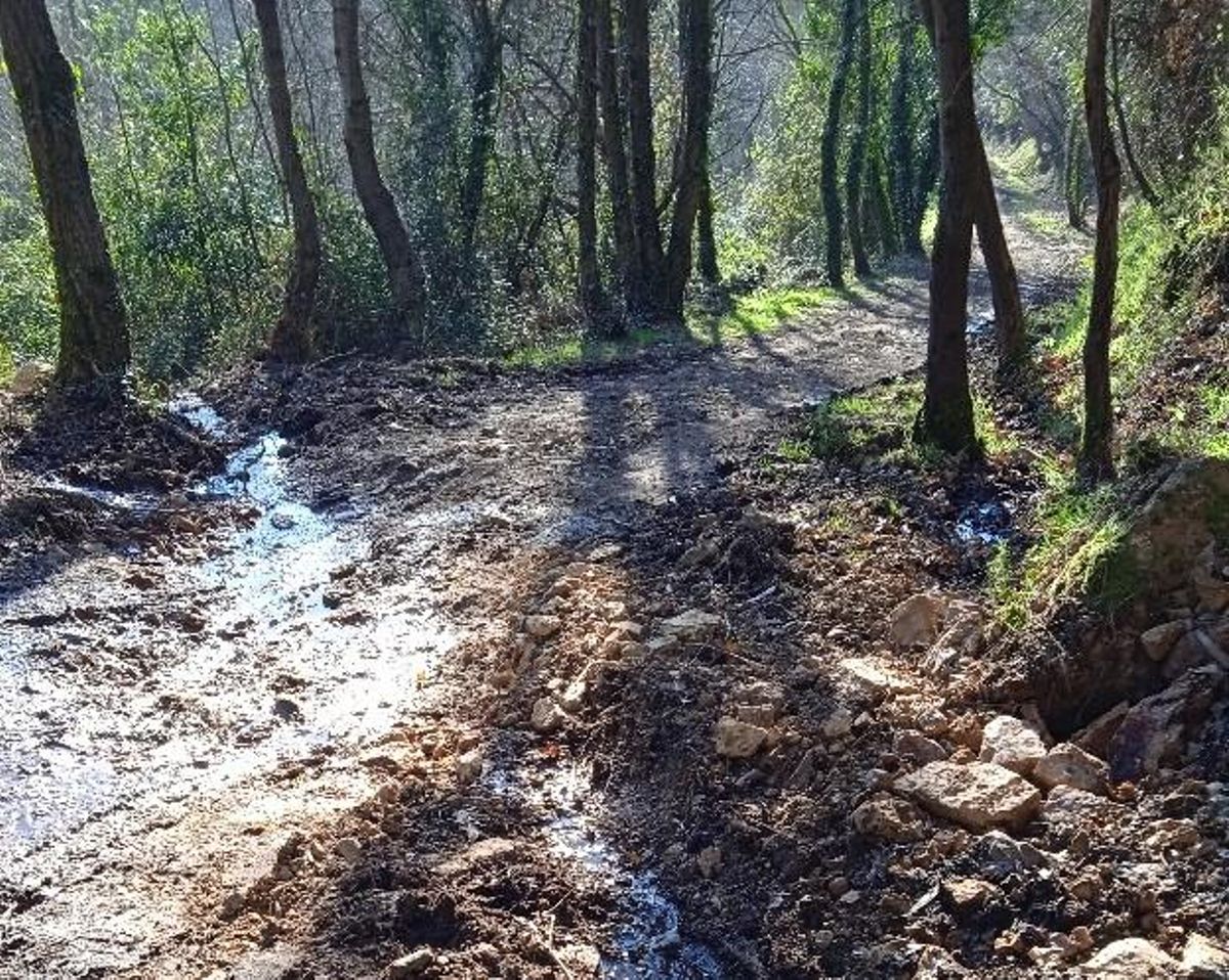 Daños en el camino de la senda xacobea.
