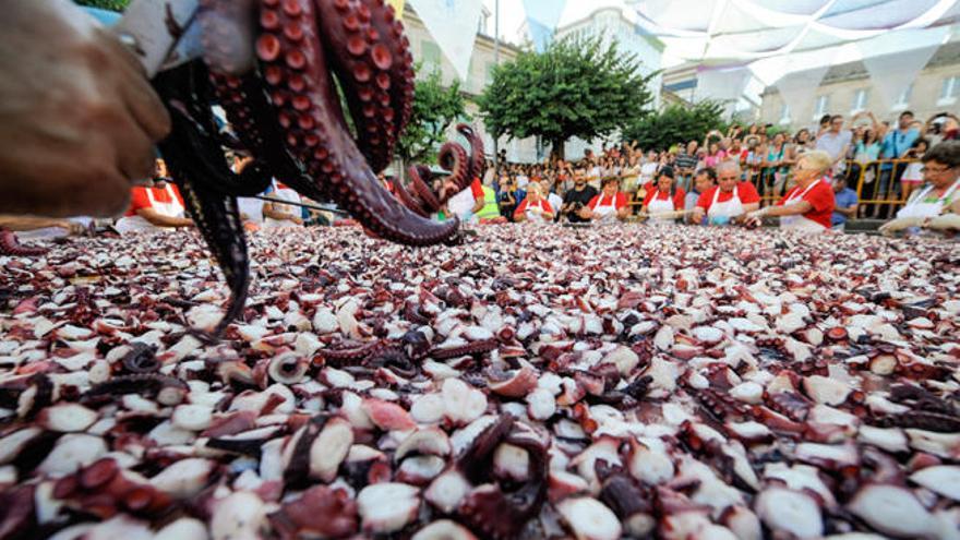 Elaboración de la tapa de pulpo más grande del mundo en O Carballiño // Brais Lorenzo