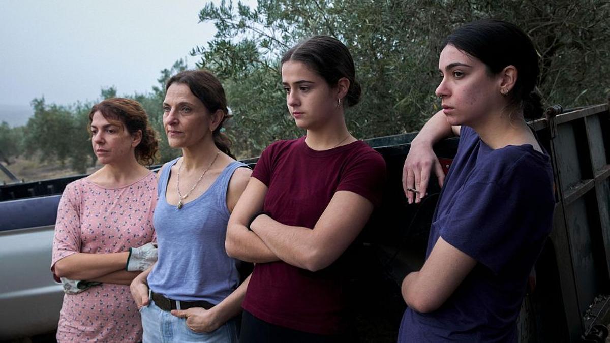 Fotograma 'Los Tortuga' de Belén Funes