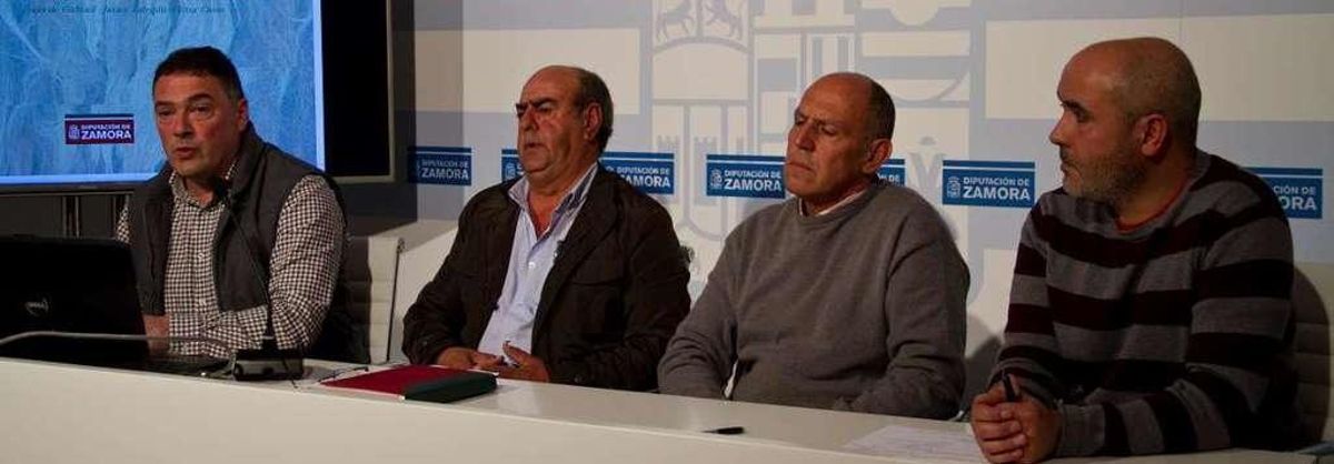 Los burros "agresivos" rebajan los ataques de lobos y zorros al ganado