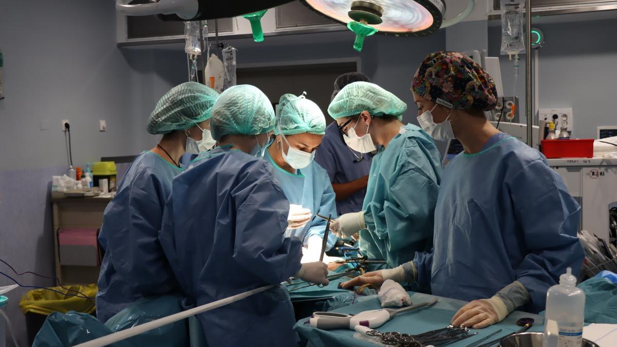 Una intervención quirúrgica en el Hospital Doctor Trueta de Girona.