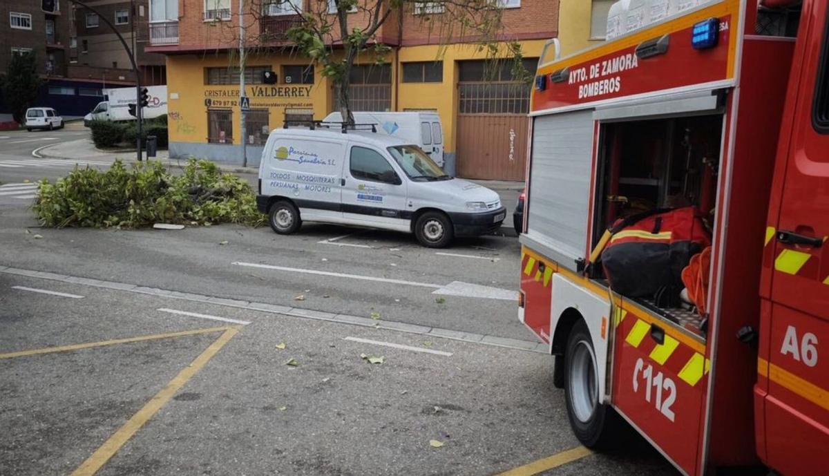 Un centenar de emergencias atendidas, con los bomberos desbordados por Kirk