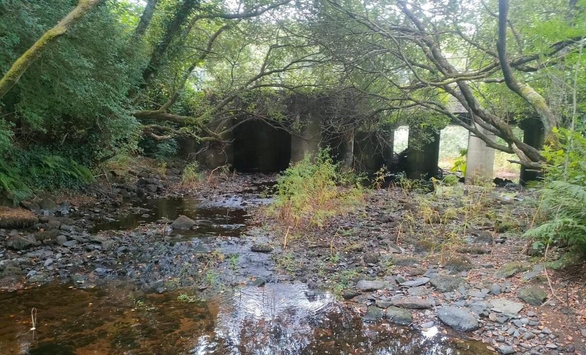 Estado del río Xallas a su paso por Castriz, en Santa Comba