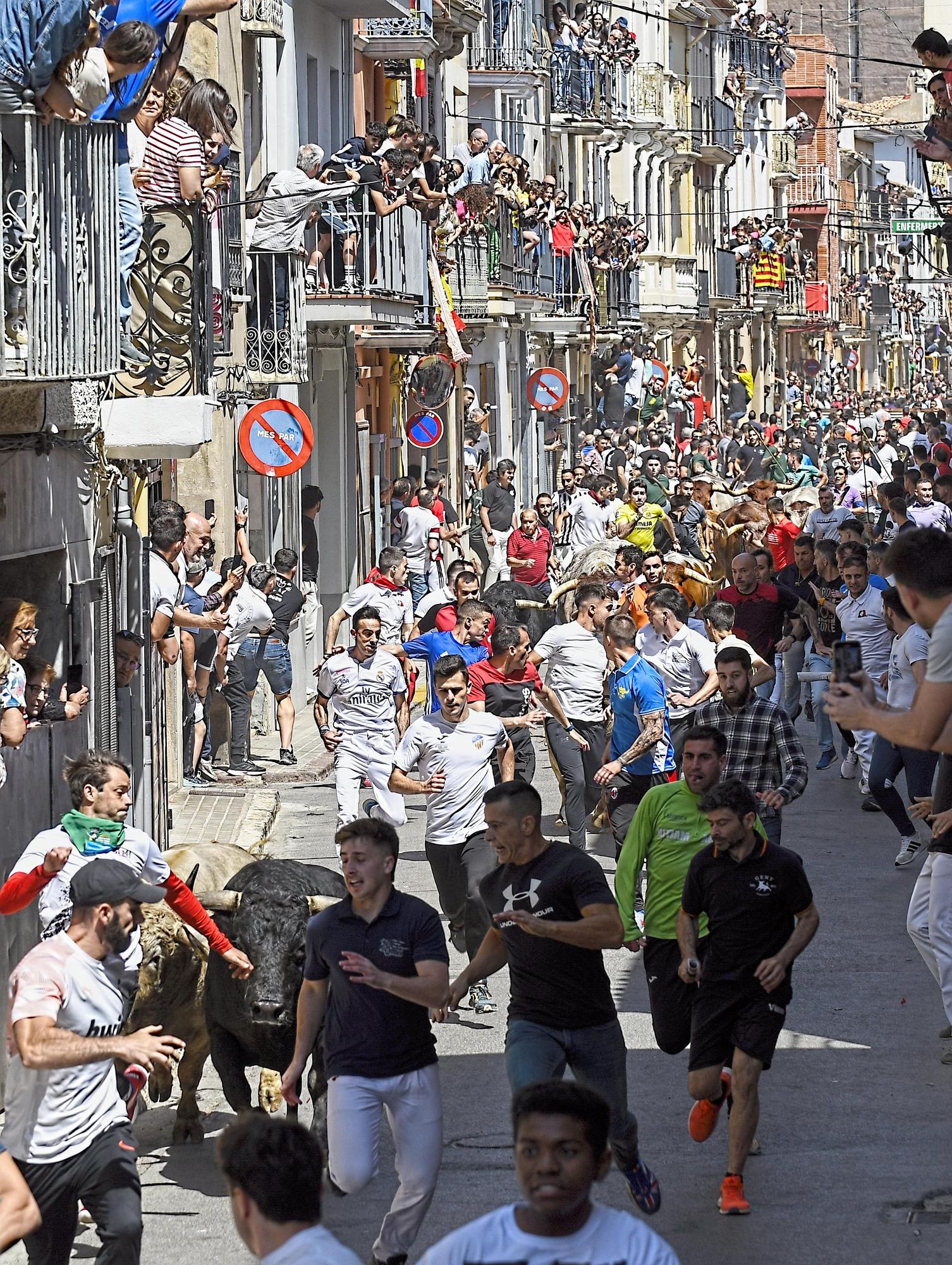 MACROGALERÍA DE FOTOS: Búscate en el encierro y los primeros 'bous' de las fiestas de Almassora