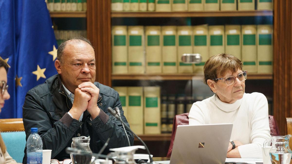 El representante de ApiGranca, Antonio Quesada, y la bióloga de la ULPG, Nieves González, en comisión parlamentaria.