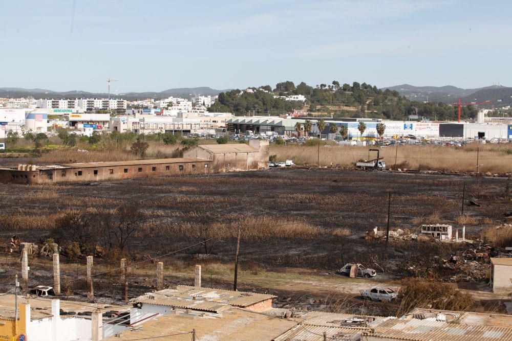 El día después del incendio en ses Feixes