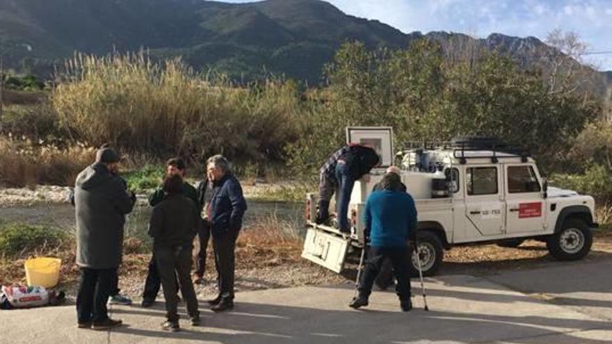 Medio Ambiente suelta 3.500 anguilas en el Serpis para evitar que se extingan