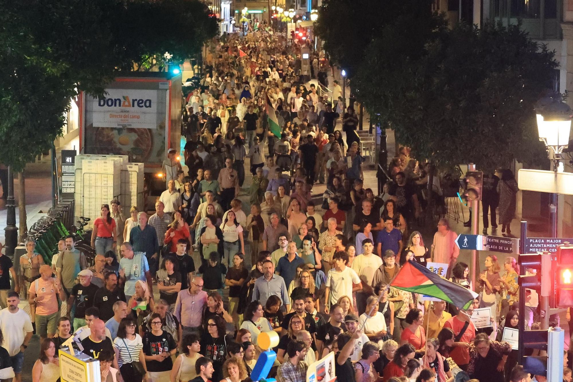 Galería de imágenes: Castellón sale a la calle en defensa de Palestina