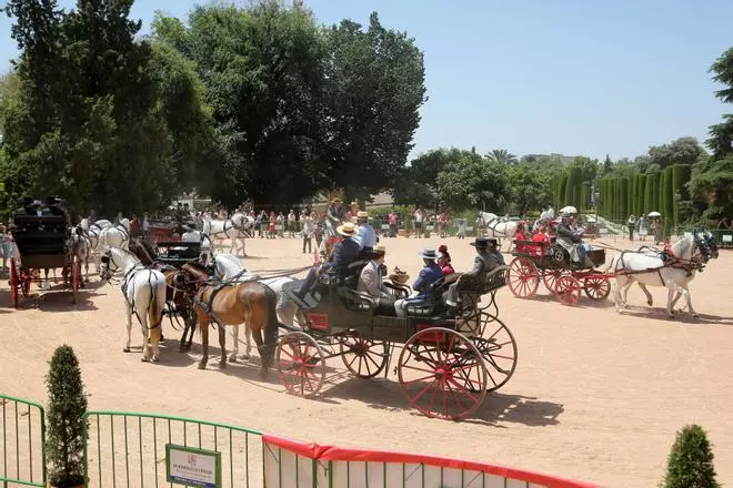 La Exhibición de Carruajes de Tradición de Córdoba, en imágenes