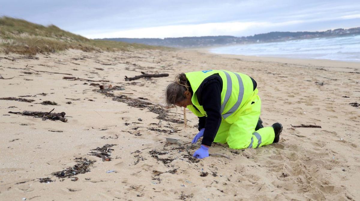 La eliminación de basura marina sigue adelante en las playas mecas