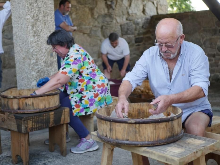 El Museo de la Salazón recibe las rutas de la Diputación y acoge una degustación de sardinas