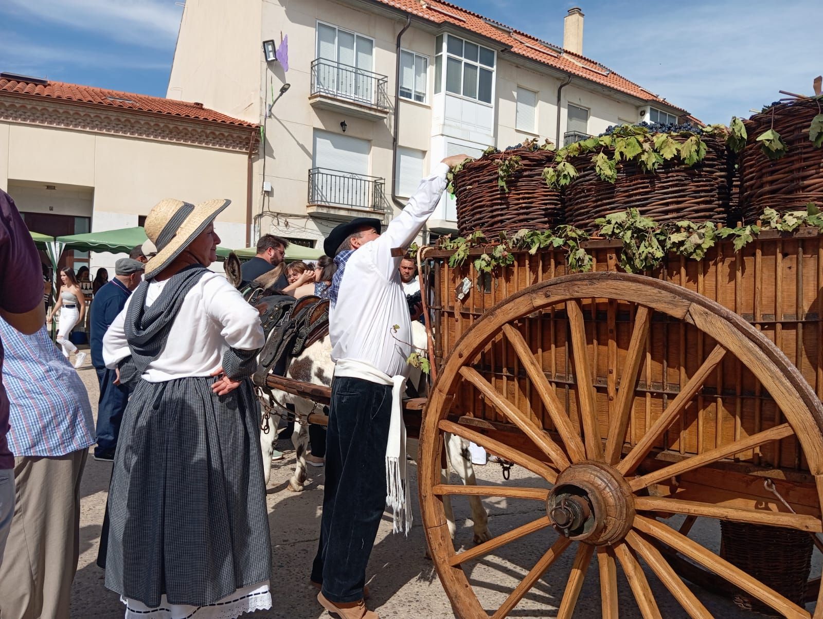 GALERÍA | Revive la Fiesta de la Vendimia de Morales de Toro