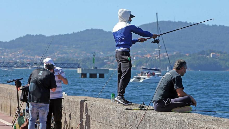 Quince chocos a bordo con la «caña» de ChatGPT: aficionados a la pesca se apoyan en la IA para incrementar sus capturas