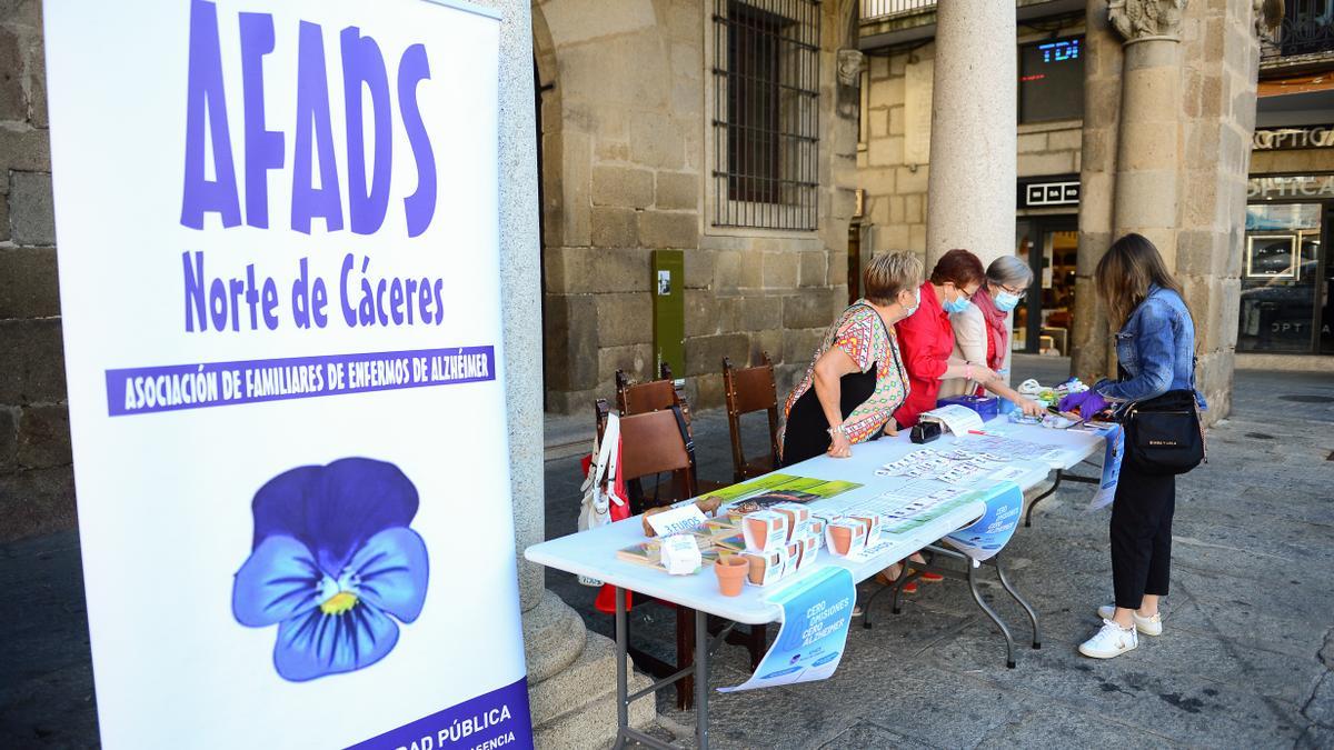 Mesa informativa y productos a la venta de Afads, en la plaza Mayor.