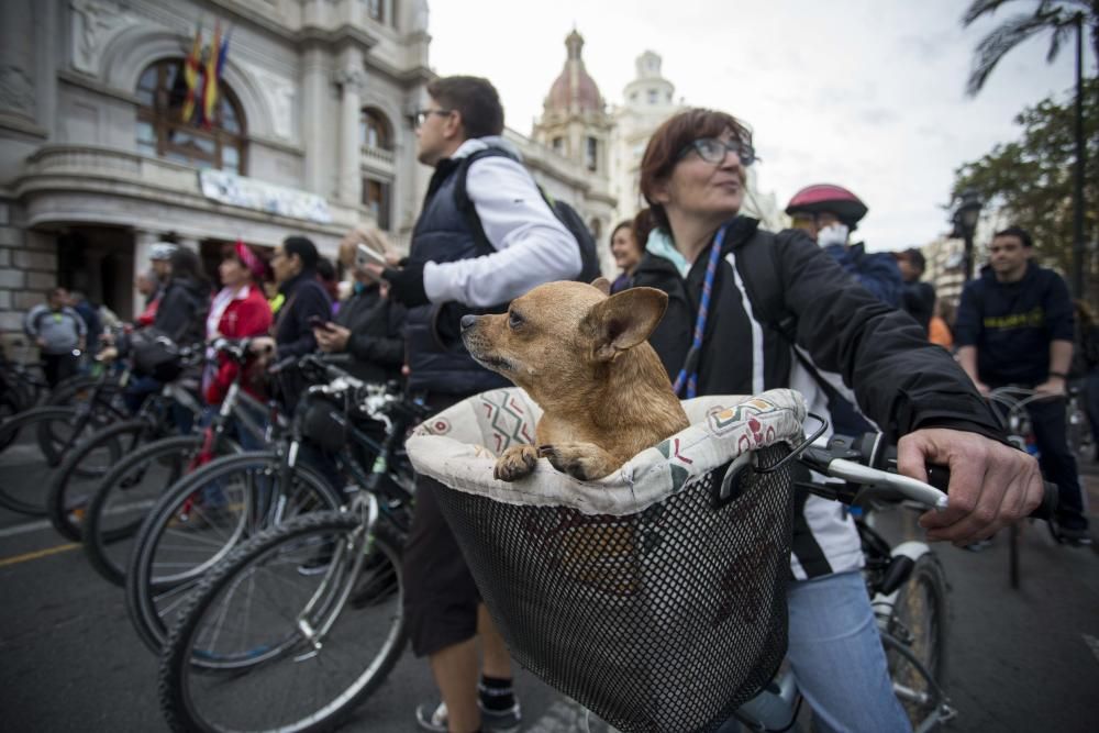 'Bicifestación' en Valencia con motivo del Día Mundial de la Bici