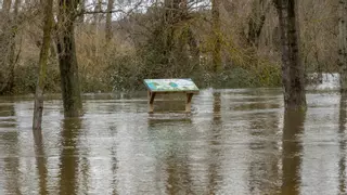 El desembalse de El Pardo desata la furia del río Manzanares en Madrid: "Hemos sacado el coche del garaje por si acaso"