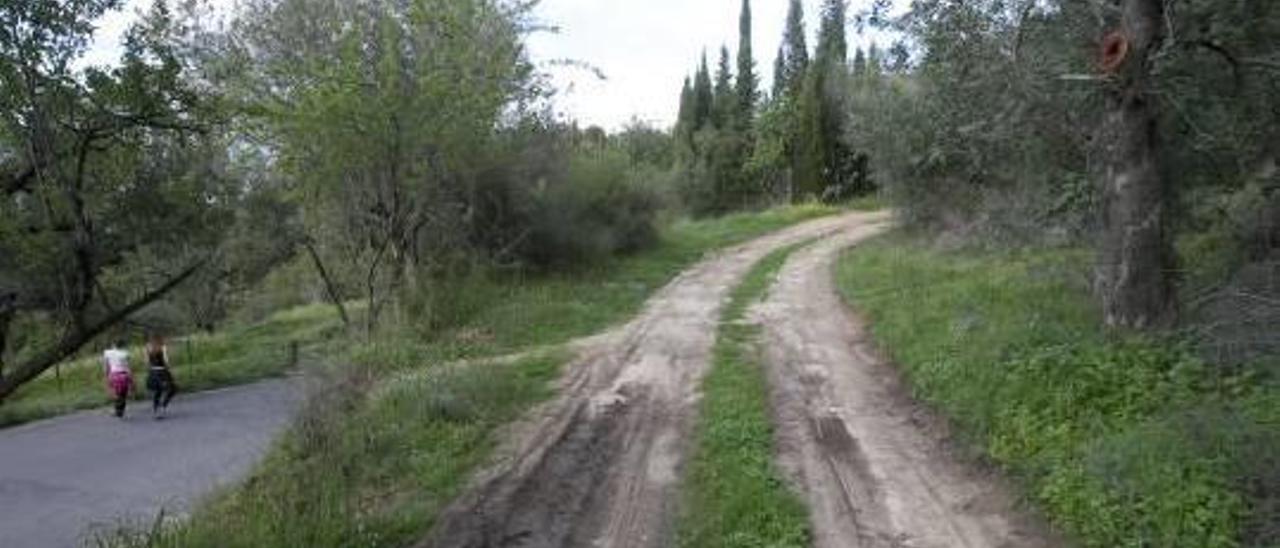 Cultura y Xàtiva aceptan reducir el conjunto histórico del castillo a instancias de Inelcom