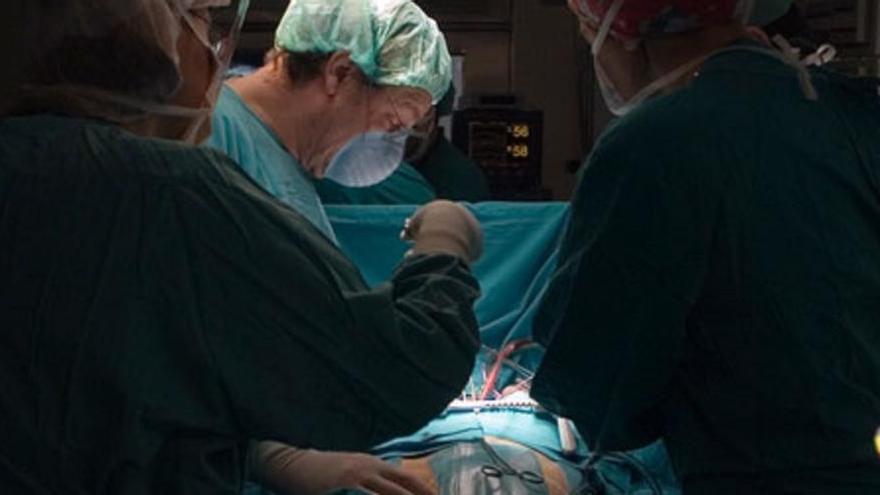 Una intervenció de transplantament.