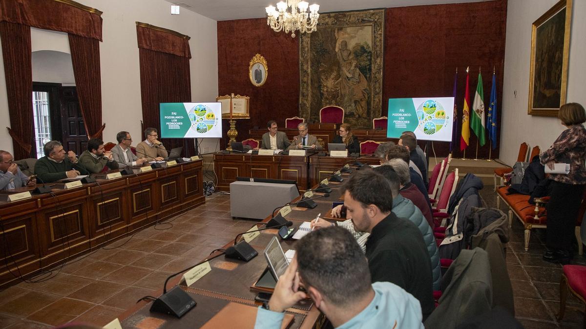 Reunión mantenida el pasado viernes en la Diputación de Córdoba.