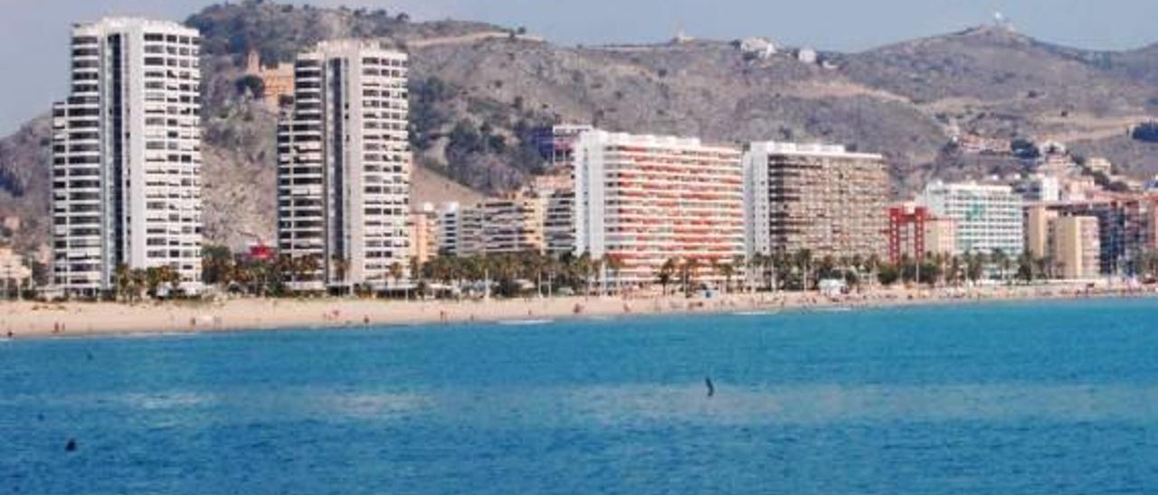 Cullera recibe las seis banderas que certifican la calidad de sus playas