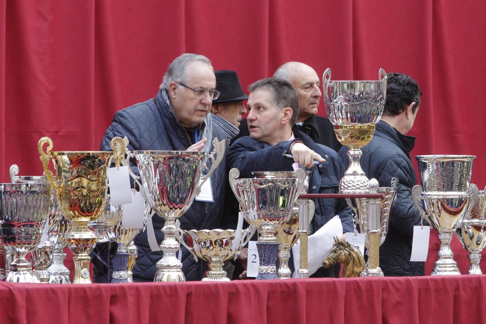 Sant Antoni en Valencia 2017