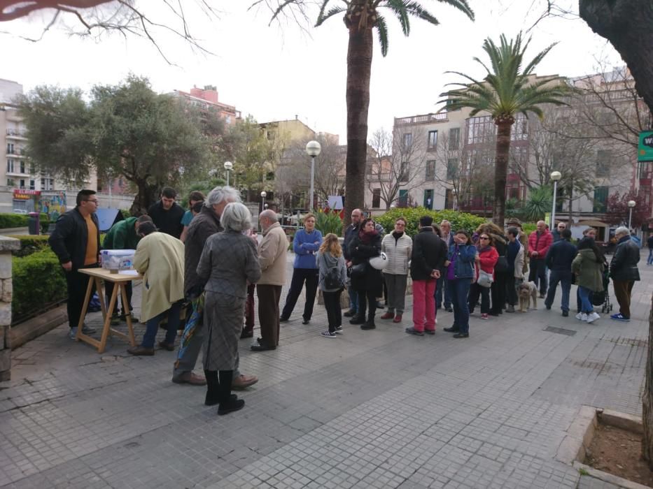 Referéndum monarquía o república en Palma