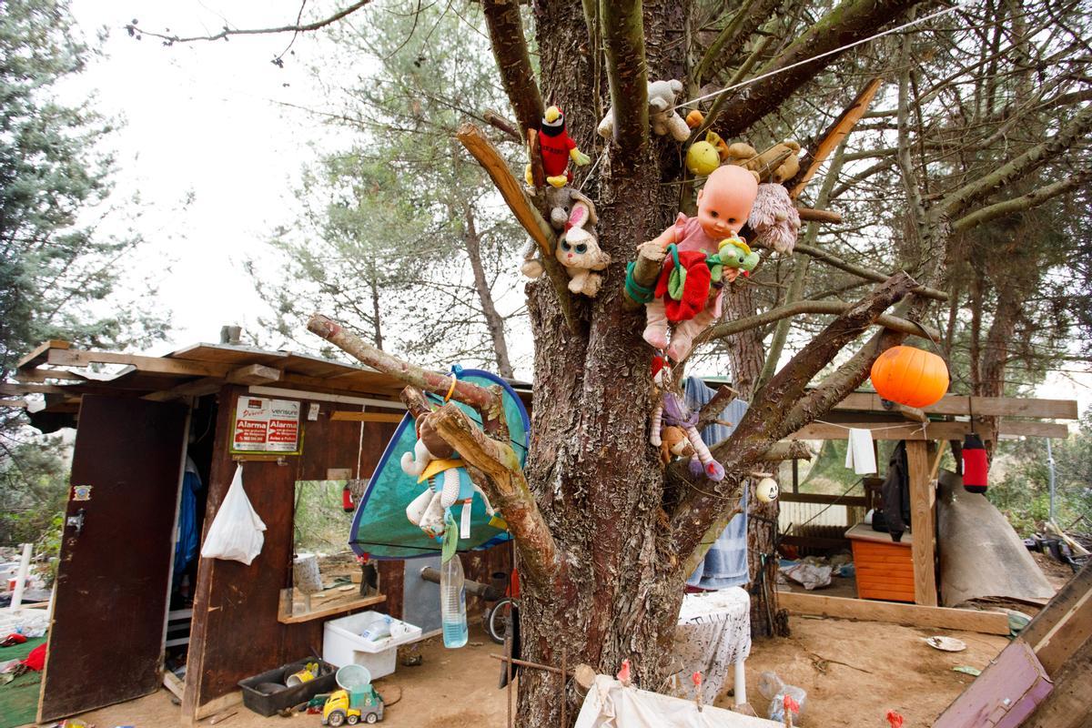 Al lado de la chabola donde hubo el secuestro hay un siniestro árbol del que cuelgan numerosos juguetes y peluches infantiles. 