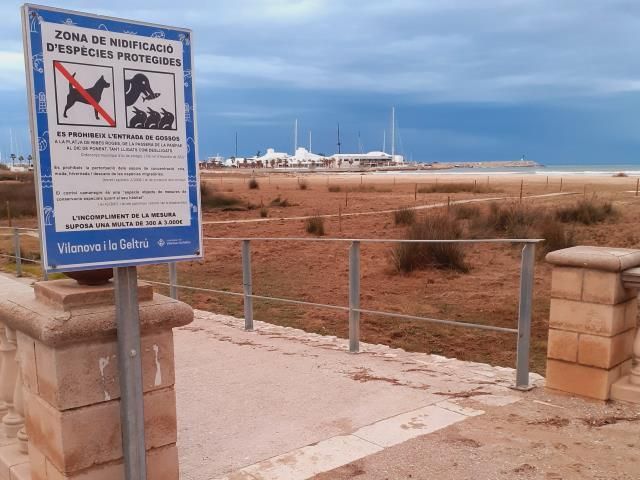 Playa de les Ribes Roges