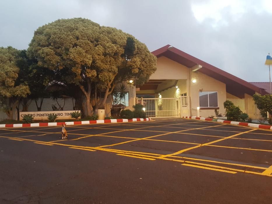 Bomberos de La Palma trabajan en la extinción