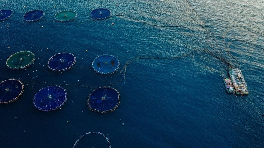 La acuicultura puede ayudarnos a alcanzar la soberanía alimentaria, algo clave para la alimentación actual