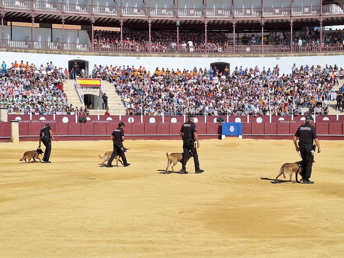 Los policías guías caninos, con sus perros