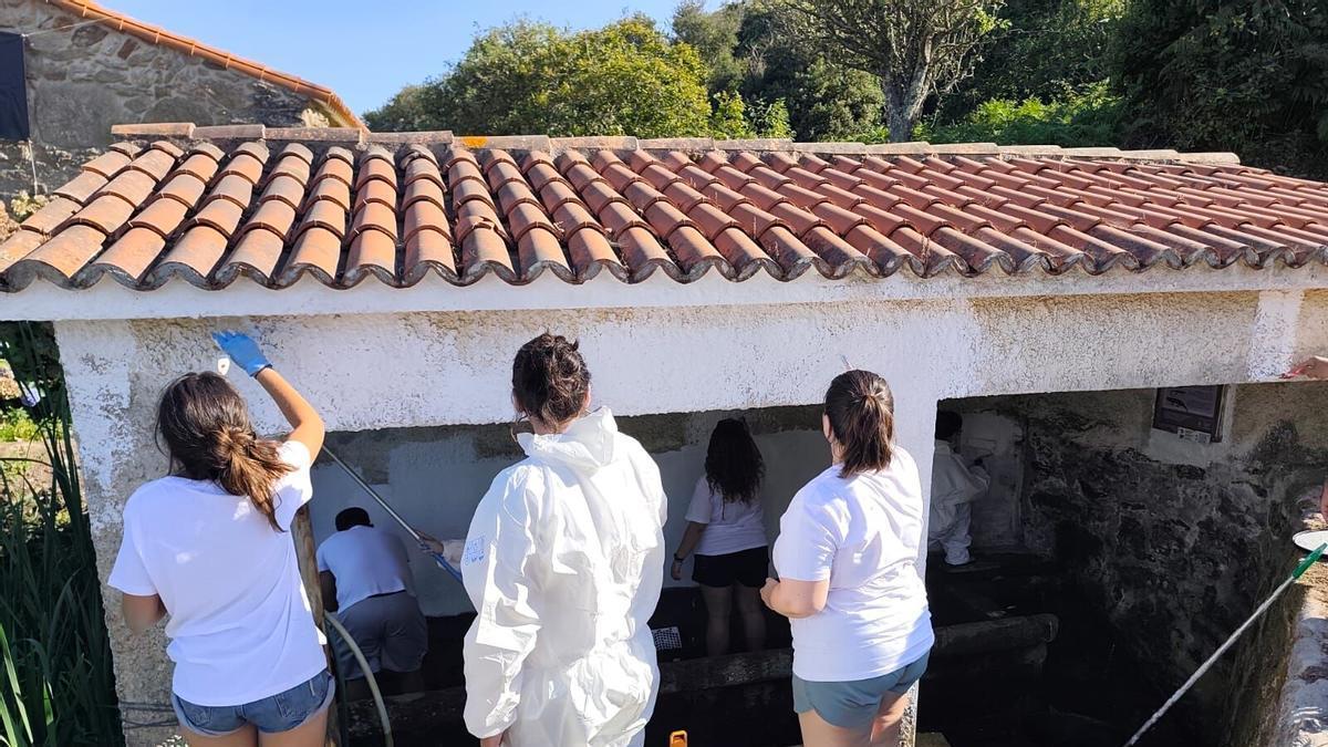 Voluntariado en la isla de Ons