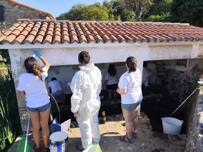 Voluntariado en la isla de Ons