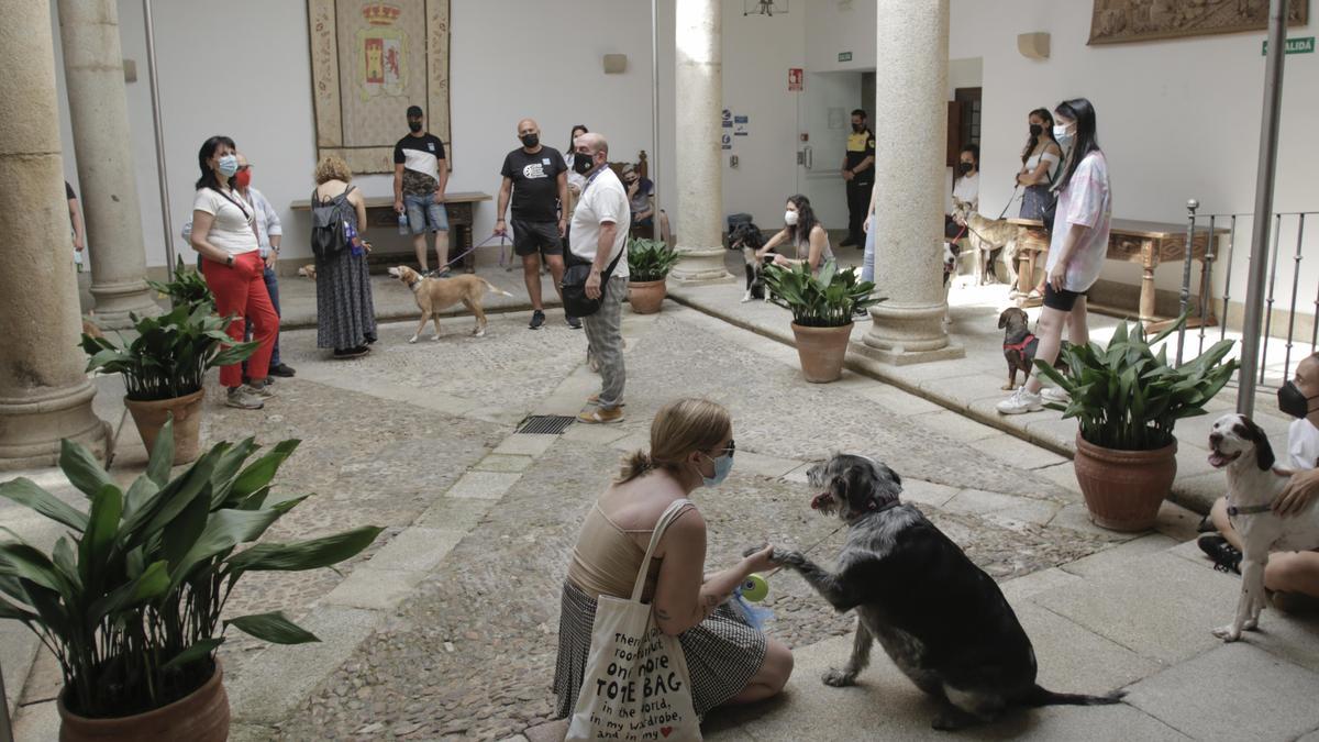 Los participantes de la ruta en Carvajal, único palacio en el que se permite la entrada de perros.