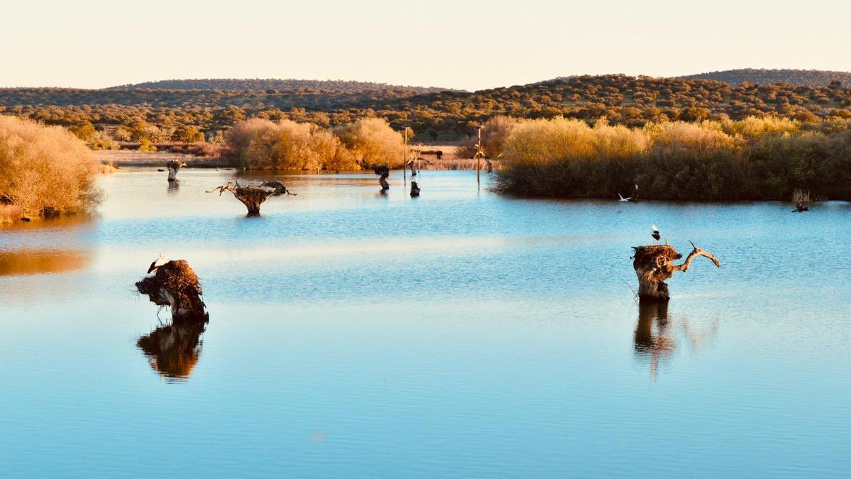 Reserva natural de ‘Los Patos’, que este año presentó en FIO sus potencialidades.