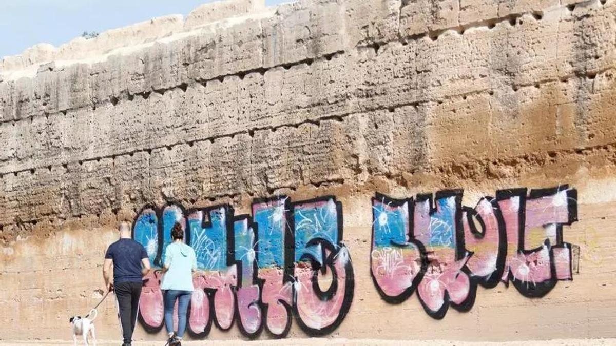 Pintadas en el Marrubial en 2020.