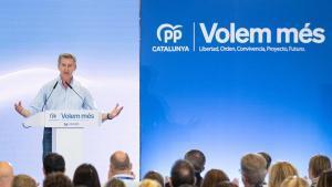El presidente del PP, Alberto Núñez Feijóo.