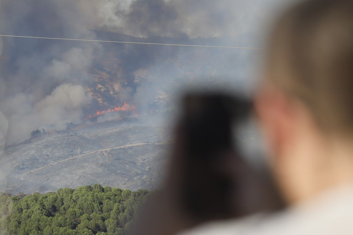 Incendio forestal en Cerro Muriano