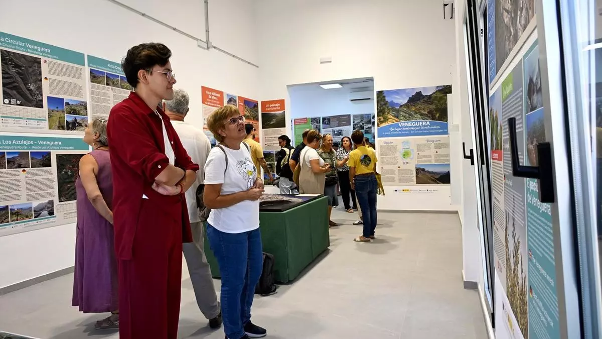 Gran centro para una Veneguera Viva