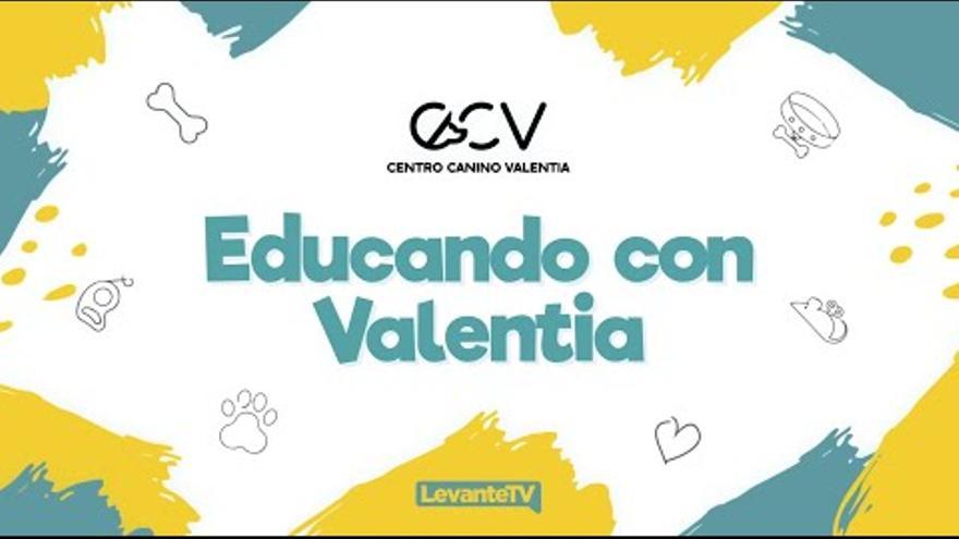 Educando con Valentia 14/11/23