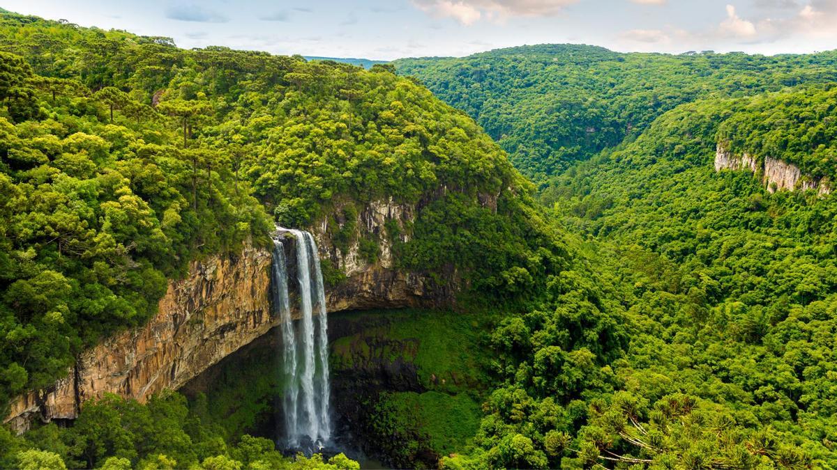 Desde Uganda hasta México, pasando por Irán o Brasil, estos bosques son parte fundamental del patrimonio munidla de la Unesco.